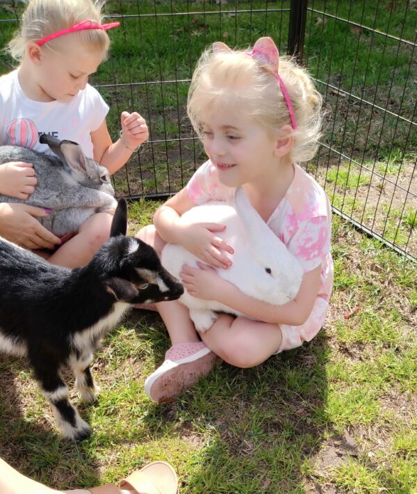 Family Party Petting Zoo