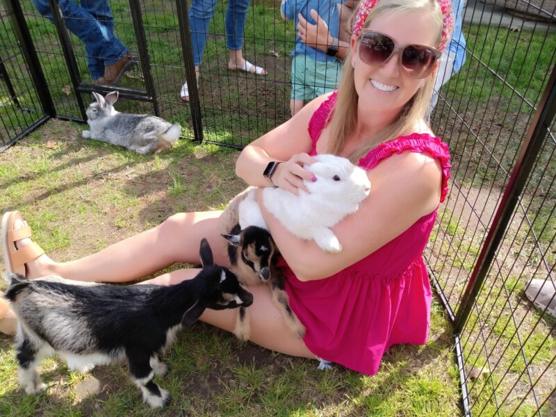 Rabbit Petting Zoo