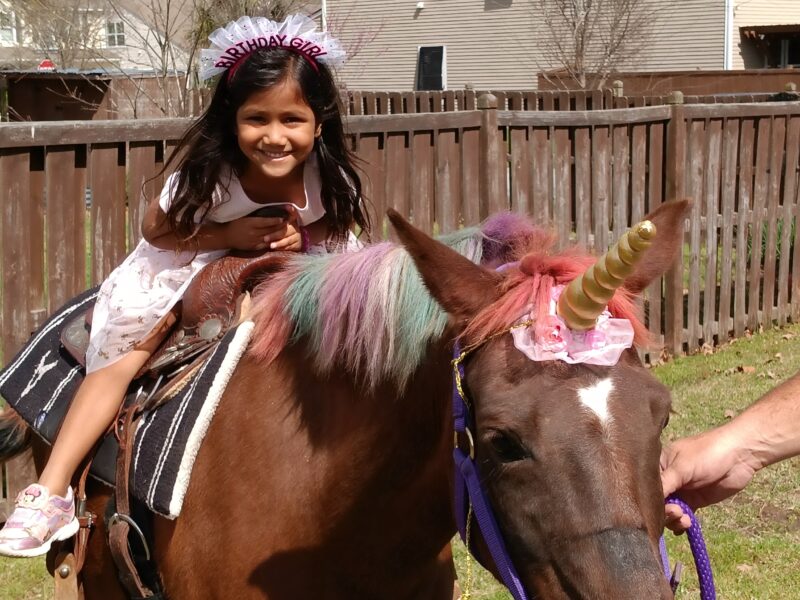 Worth Family Acres Mini Horse