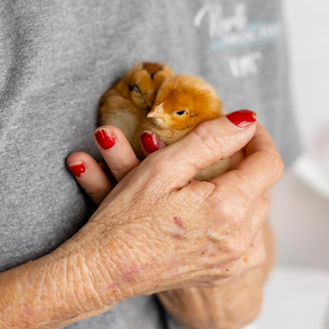 Worth Family Acres Team Charleston SC